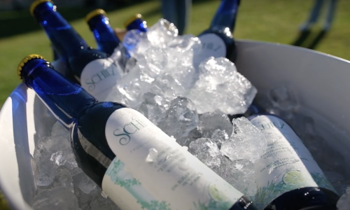 Снимок экрана 2025-05-19 в 2.03.16 PM